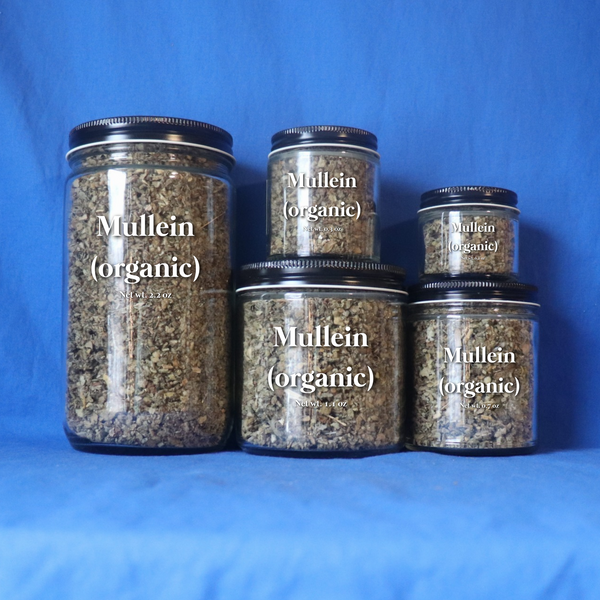 Mullein (organic)
