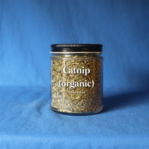 Catnip (organic)